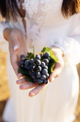 monodiète de raison à l'automne - OptiMoms