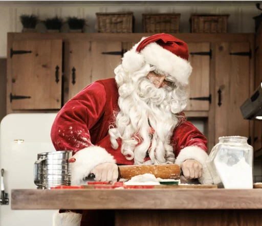 Noël végétarien - OptiMoms