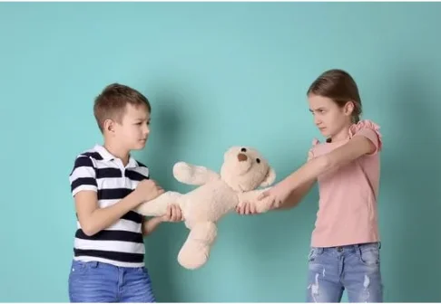 dispute entre frère et soeur - OptiMoms