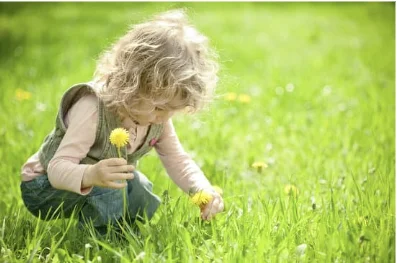 8 shields - OptiMoms