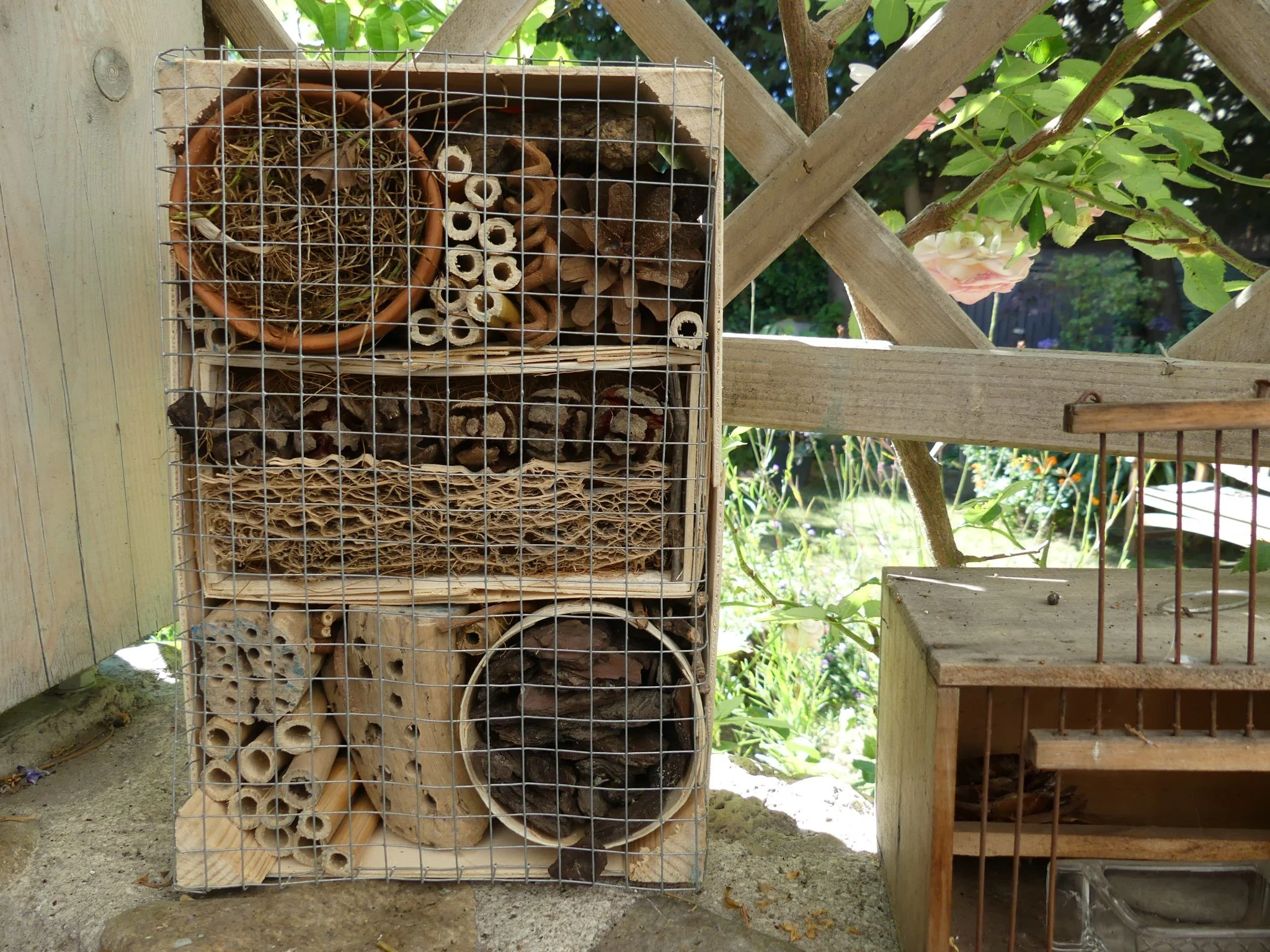 activités automne - optimoms