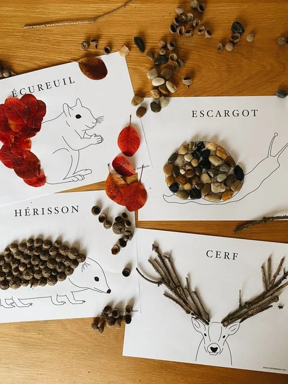 activités automne - optimoms