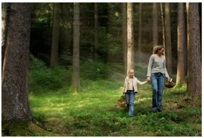 activités automne - optimoms