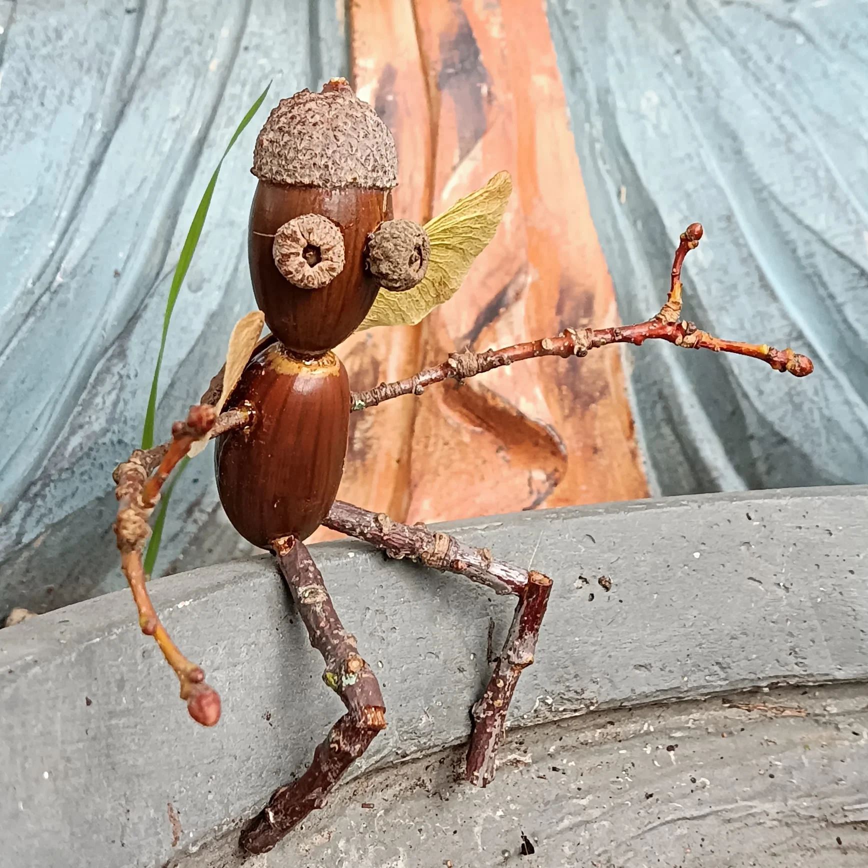 activités automne - optimoms