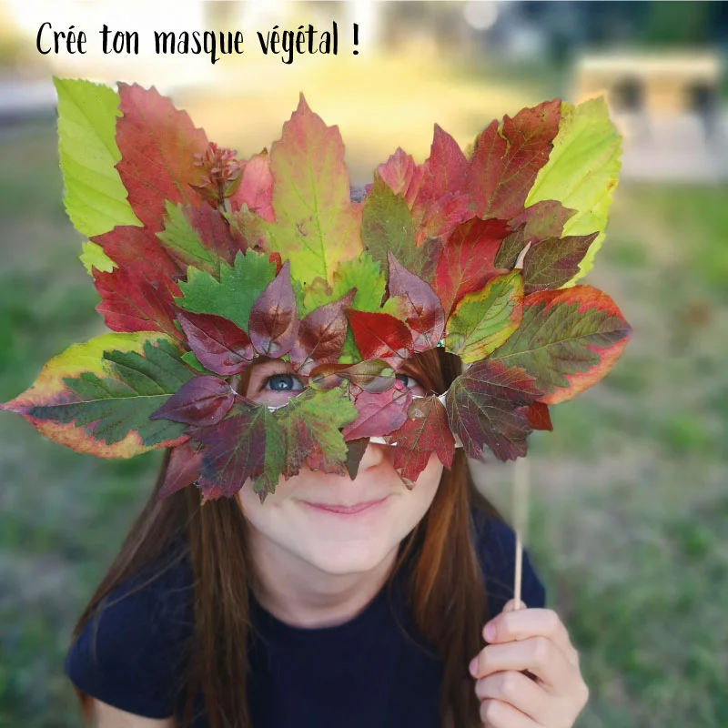 activités automne - optimoms