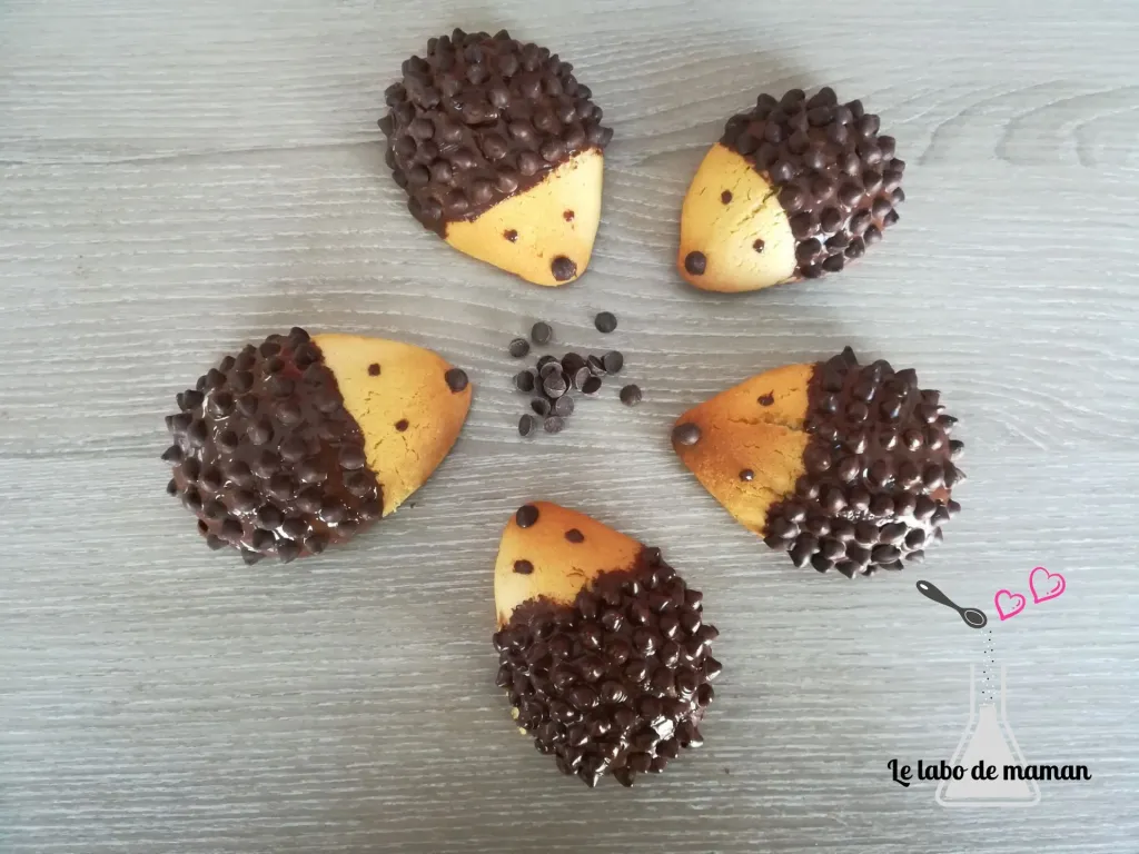 activités automne - optimoms