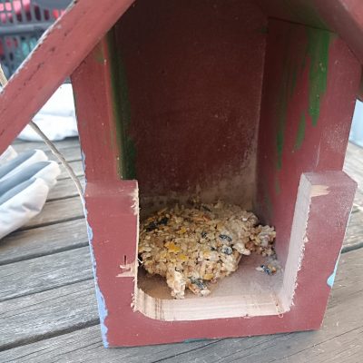 boules de graisses pour oiseaux - optimoms