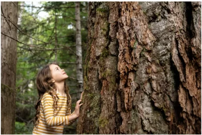 écopsychologie - optimoms