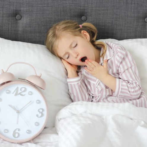 routine matin rentrée